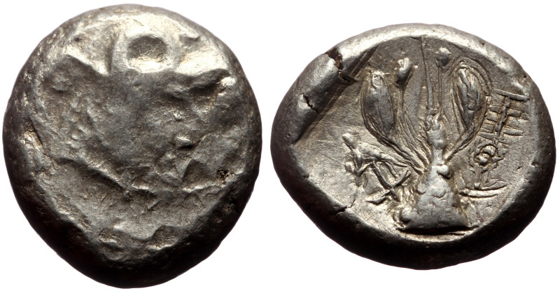 Cyprus, Uncertain AR Stater (Silver, 20mm, 10.77g)
Obv: Bull standing left; wing...