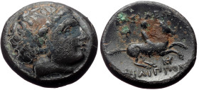 Kings of Macedon, Philip III Arrhidaios (323-317 BC) AE (Bronze, 4.76g, 18mm) Miletos, ca 323-319 BC. 
Obv: Diademed head of Apollo right 
Rev: Youth ...