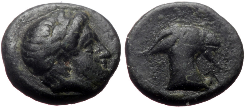 Aeolis, Aegaea AE (Bronze, 1.09g, 10mm) 3rd century BC. 
Obv: Laureate head of A...