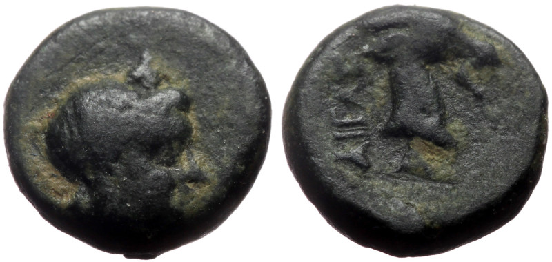 Aeolis, Aegaea AE (Bronze, 1.09g, 10mm) 3rd century BC. 
Obv: Laureate head of A...