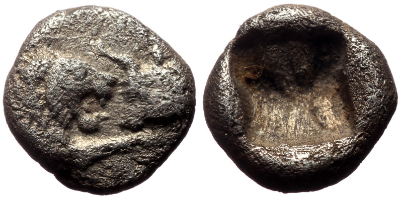 Kings of Lydia, Kroisos AR 1/12 Stater (Silver, 0.60g, 8mm) Sardes, ca 564/53-55...