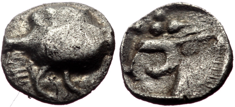 Mysia, Kyzikos AR Tetartemorion (Silver, 0.15g, 7mm) ca 525-475 BC. 
Obv: Forepa...