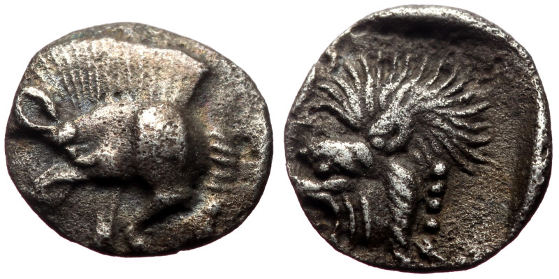 Mysia, Kyzikos AR (Silver, 0.30g, 8mm) ca 450-400 BC. 
Obv: Forepart of boar lef...