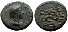 Bithynia, Nicaea AE (Bronze, 3.56g, 16mm) unknown ruller
Obv: Bareheaded (?) and draped bust right 
Rev: NIKA-IЄωN, serpent coiled left, with beard. 
...