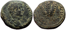Unidentified Cappadocia, Caesarea AE (Bronze, 6.19g, 20mm) Caracalla (211-217)