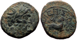 Syria, Seleucis and Pieria AE (Bronze, 6.08g, 20mm) Antioch. Pseudo-autonomous issue. temp. Augustus (27 BC-AD 14) Silanus, magistrate. 
Obv: Laureate...