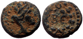 *Just 8 specimens recorded by acsearch*
Syria, Beroea AE (Bronze, 0.80g, 10mm) Uncertain reign, Issue: The Antonines
Obverse: turreted, veiled and d...