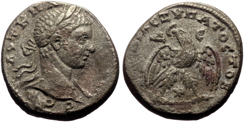 Syria, Seleucis and Pieria, Antioch AR/Bl Tetradrachm (Silver, 13.97g, 25mm) Ela...