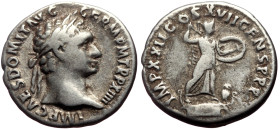 Domitian (81-96) AR Denarius (Silver, 3.55g, 18mm) Rome, 95. 
Obv: IMP CAES DOMIT AVG GERM P M TR P XIIII, laureate head right 
Rev: IMP XXII COS XVII...