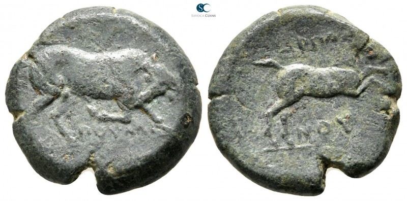 Apulia. Arpi circa 300-200 BC. 
Bronze Æ

20mm., 6,44g.



very fine