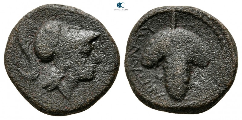 Apulia. Arpi 215-212 BC. 
Bronze Æ

15mm., 3,22g.



very fine