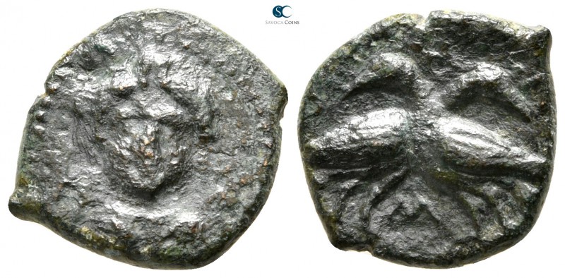 Lucania. Laos 350-300 BC. 
Bronze Æ

16mm., 1,81g.



very fine