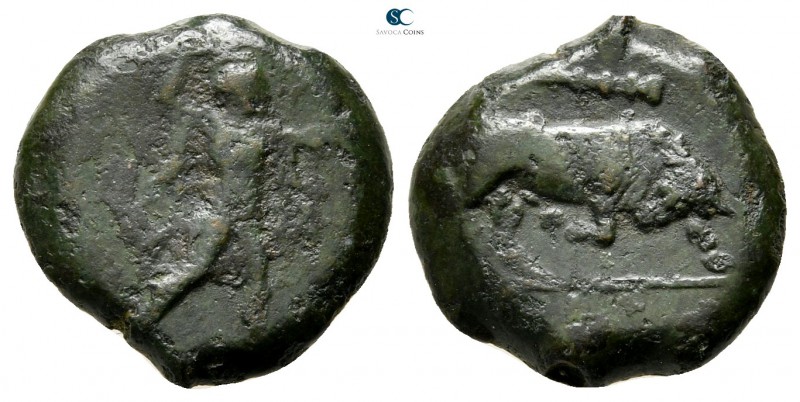 Lucania. Poseidonia 350-290 BC. 
Bronze Æ

15mm., 3,47g.



very fine