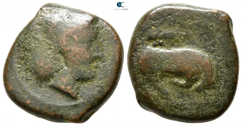 Sicily. Cephaloedium 307-305 BC. 
Bronze Æ

19mm., 5,76g.



fine