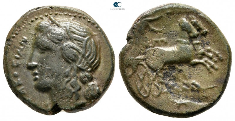 Sicily. Katane 435-425 BC. 
Bronze Æ

20mm., 6,56g.



very fine