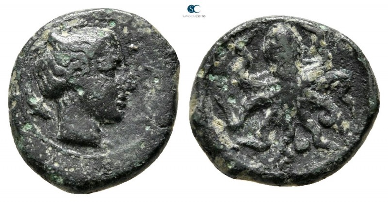 Sicily. Syracuse. Second Democracy 466-405 BC. 
Bronze Æ

12mm., 1,23g.


...