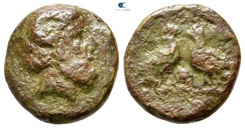 Macedon. Aphytis circa 146 BC. 
Bronze Æ

15mm., 3,33g.



fine