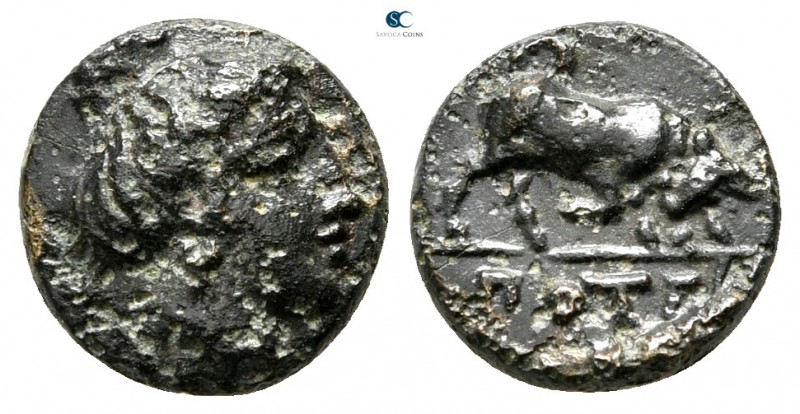 Macedon. Potidaea circa 400-356 BC. 
Bronze Æ

10mm., 1,30g.



very fine...