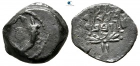 Judaea. Jerusalem. John I Hyrkanos 135-104 BC. Prutah AE