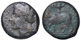 GRECHE - CAMPANIA - Neapolis - AE 16 S. Ans. 459 (AE g. 4,64) Ex asta Artemide 25, lotto 34

Status: meglio di MB