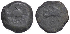 GRECHE - APULIA - Salapia - AE 15 Mont. 1112 (AE g. 4) Ex asta Artemide 25, lotto 53

Status: qBB