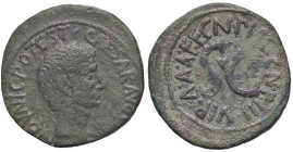 ROMANE IMPERIALI - Augusto (27 a.C.-14 d.C.) - Asse RIC 382 (AE g. 10,14)

Status: bel BB
