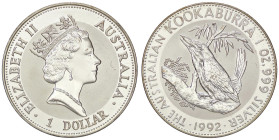 ESTERE - AUSTRALIA - Elisabetta II (1952-2022) - Dollaro 1992 - Kookaburra Kr. 164 AG

Status: FS