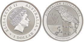 ESTERE - AUSTRALIA - Elisabetta II (1952-2022) - Dollaro 2016 - Kookaburra AG

Status: FS