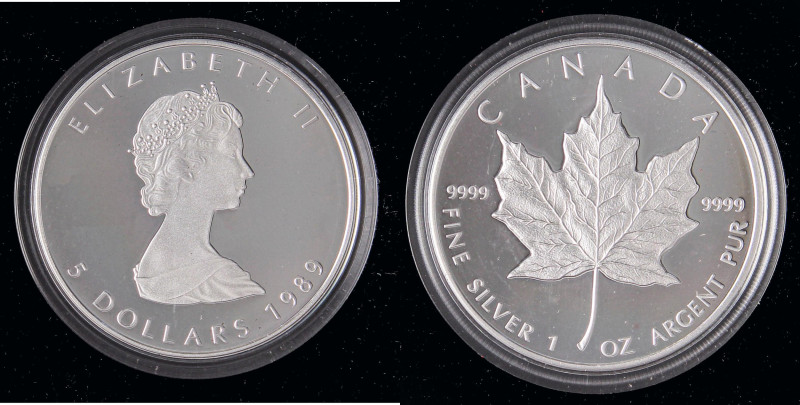 ESTERE - CANADA - Elisabetta II (1952-2022) - 5 Dollari 1989 Kr. 163 AG In scato...