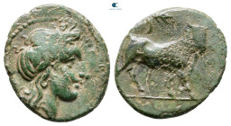 Campania. Neapolis circa 317-270 BC. Bronze Æ