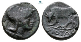 Macedon. As Roman Province. District Bottiaia circa 148-146 BC. Bronze Æ