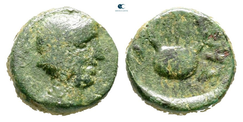 The Thracian Chersonese. Sestos circa 300 BC. 
Bronze Æ

10 mm, 1,25 g


...