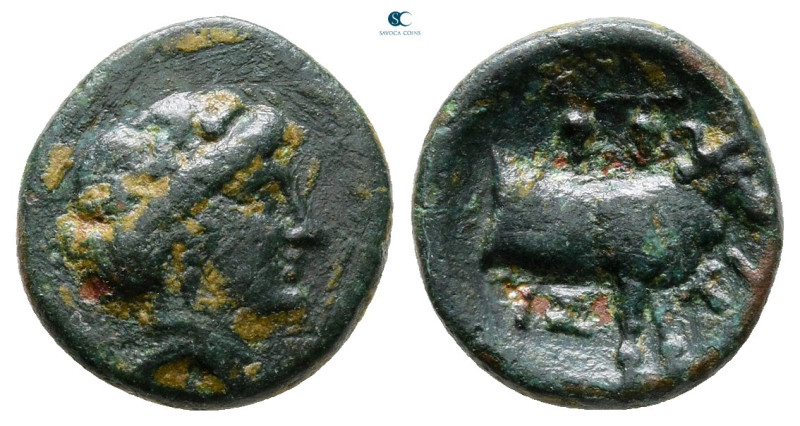 Euboea. Histiaia circa 338-304 BC. 
Bronze Æ

13 mm, 1,79 g



Very Fine