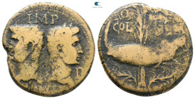 Gaul. Nemausus. Augustus with Agrippa 27 BC-AD 14. Bronze Æ
