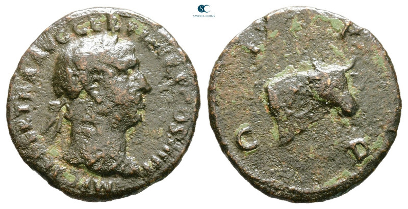 Thrace. Deultum. Trajan AD 98-117. 
Bronze Æ

18 mm, 2,66 g



Good Fine