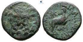 Seleucis and Pieria. Antioch. Pseudo-autonomous issue. Time of Augustus 27 BC-AD 14. Bronze Æ