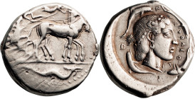 Sicily, Syracuse. Tetradrachm