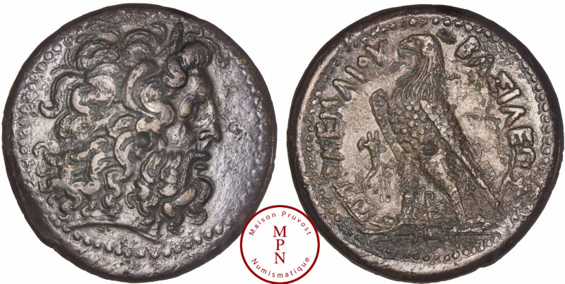 Royaume Lagide, Ptolémée III Euergetes (246-222), Hemidrachme, Alexandrie, Av. T...