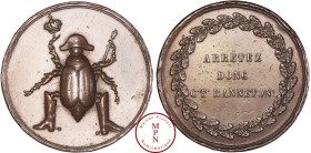 France, 2e République (1848-1852), Médaille satirique, Arretez donc c't'hanneton !, Av. Hanneton coiffé du bicorne de Napoléon, tenant la couronne et ...