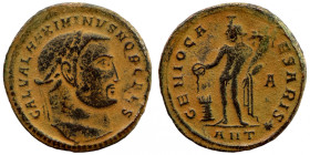 Maximinus II, 310-313 AD. Follis 
25mm 6,16g
Artificial sand patina