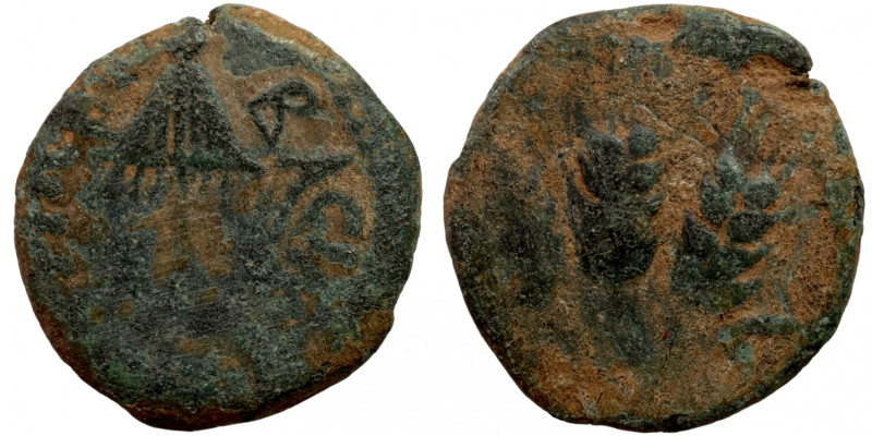 Judaea. Jerusalem. Herodians. Agrippa I AD 37-43. 
15mm 2,36g