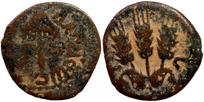 Judaea. Jerusalem. Herodians. Agrippa I AD 37-43. 
16mm 1,94g