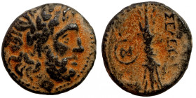 Seleucis Kingdom Greek Coin 1-4 BC Century
16mm 4,29g
Artificial sand patina