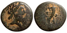 Seleucis Kingdom Greek Coin 1-4 BC Century
23mm 7,95g
Artificial sand patina