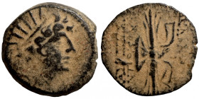 Seleucis Kingdom Greek Coin 1-4 BC Century
18mm 4,90g
Artificial sand patina