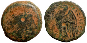 Seleucis Kingdom Greek Coin 1-4 BC Century
18mm 5,14g
Artificial sand patina