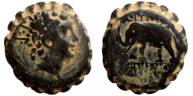 Seleucis Kingdom Greek Coin 1-4 BC Century
20mm 8,17g
Artificial sand patina