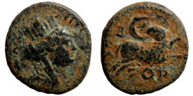 Seleucis Kingdom Greek Coin 1-4 BC Century
18mm 3,90g
Artificial sand patina