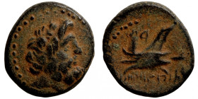 Seleucis Kingdom Greek Coin 1-4 BC Century
15mm 2,97g