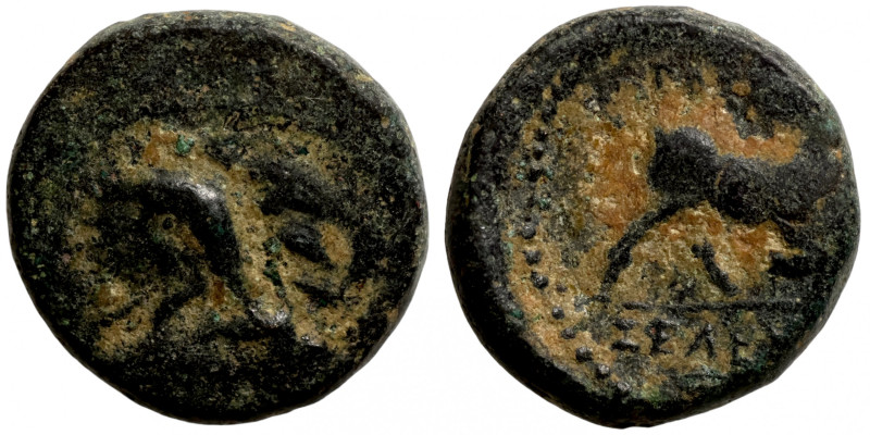 Seleucis Kingdom Greek Coin 1-4 BC Century
14mm 2,95g